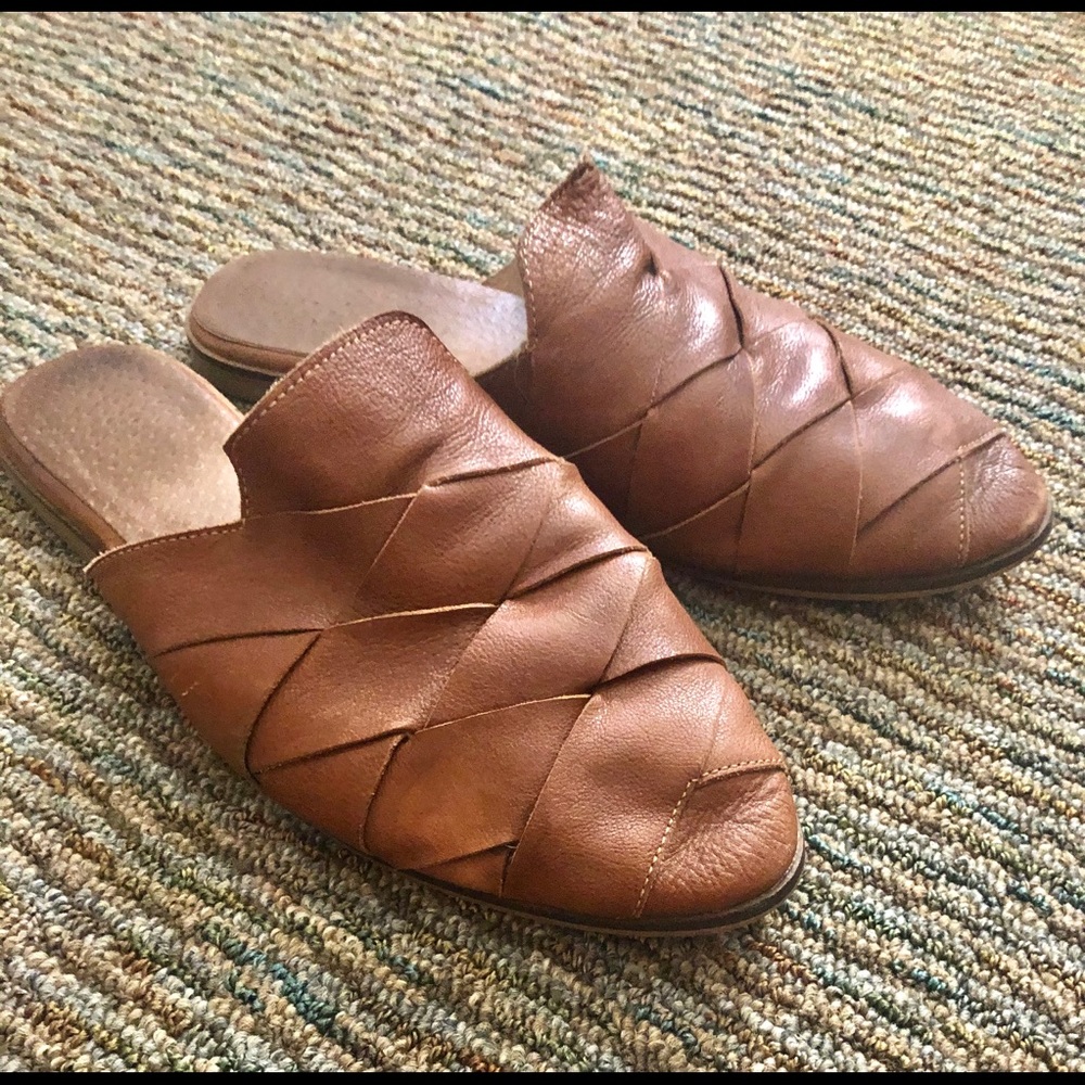 Seychelles Survivor Mules